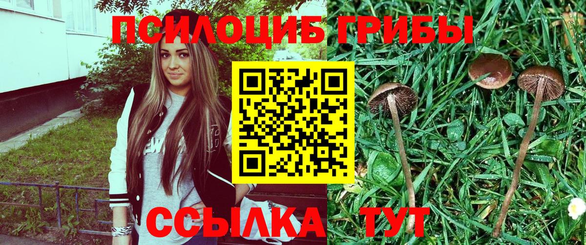 Реутов  Псилоцибиновые грибы MAGIC MUSHROOMS  Псилоцибиновые грибы GOLDEN TEACHER  Вход с VPN 